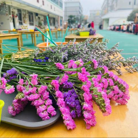 女神节·花样宠爱