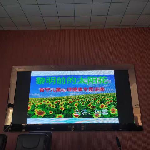 黎明前的太阳花——禾源中心小学何馨老师留守儿童心理健康专题讲座
