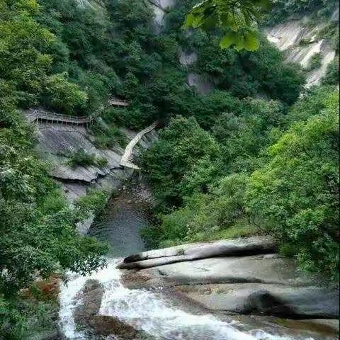 木札岭原始林海两日游