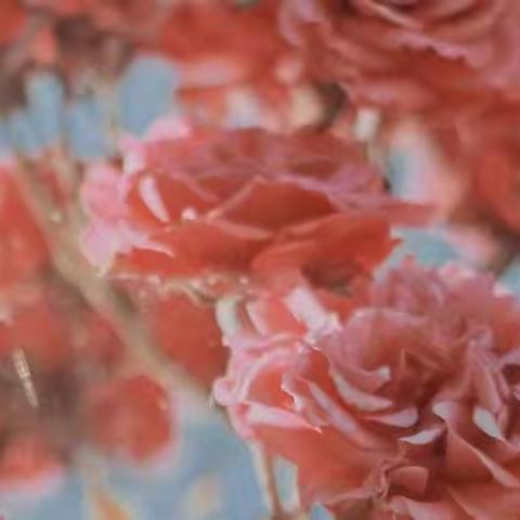 第九单元 幼儿情绪情感的发展(复习)
