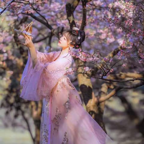 我的植物朋友——窗外的桃花