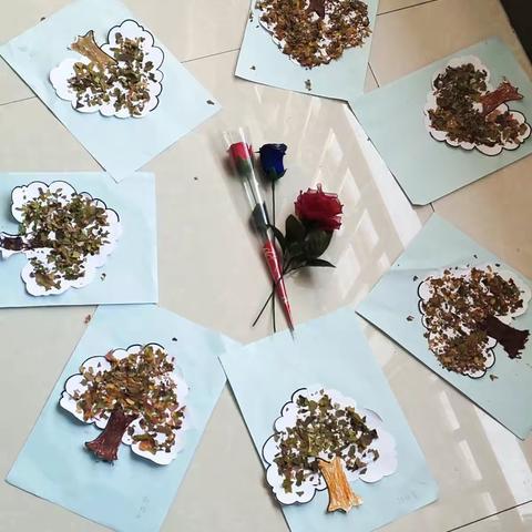 落叶🍂变小树🌳