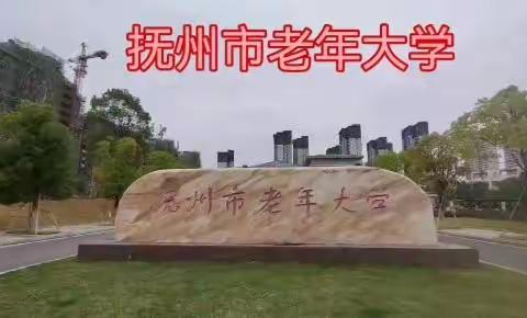 抚州市老年大学舞蹈身韵班户外课堂