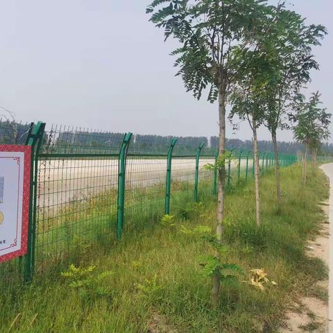 班村网格员的一周