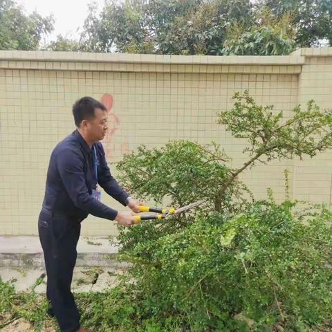 【劳动砺心智，实践促成长】                               ——鳌头镇中心小学劳动教育基地开垦纪实