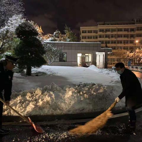 暴雪纷纷至  雪后我先行