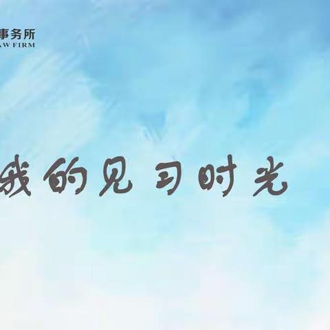 我和我的见习时光——作者：宁赐佳