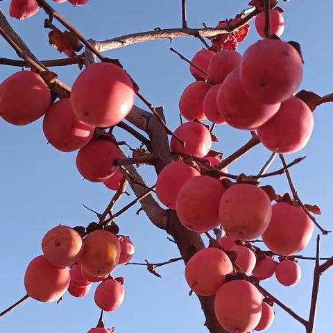 跟着顺子户外走——一天三景第一站