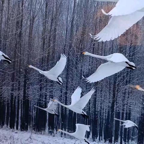 跟着顺子户外走——一天三景第三站