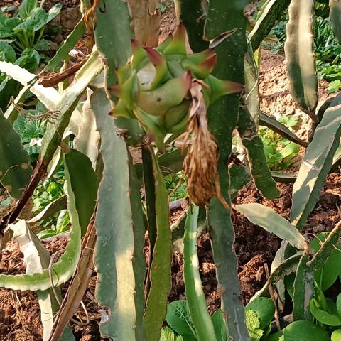 跟着顺子户外走———一天三景第二站