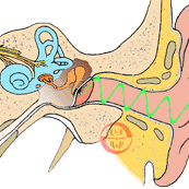 华亭市百名医疗人才“组团式”培训五官科团队召开第二十七次学术会