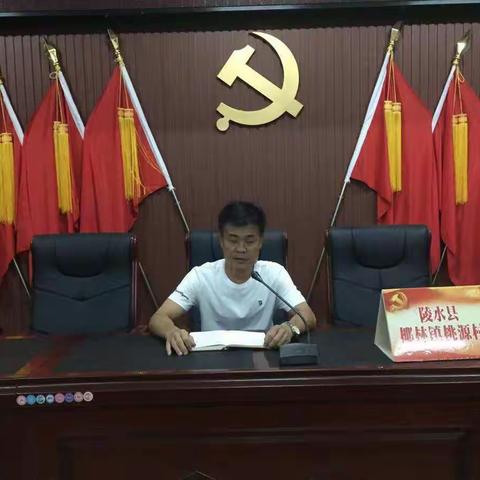 桃源村委会组织学习县委书记符鸣召开脱贫攻坚背水一战再部署暨大排查“回头看”工作和培训会电视现场会议