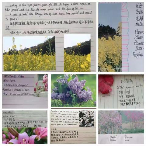 “双减”背景下优秀作业设计