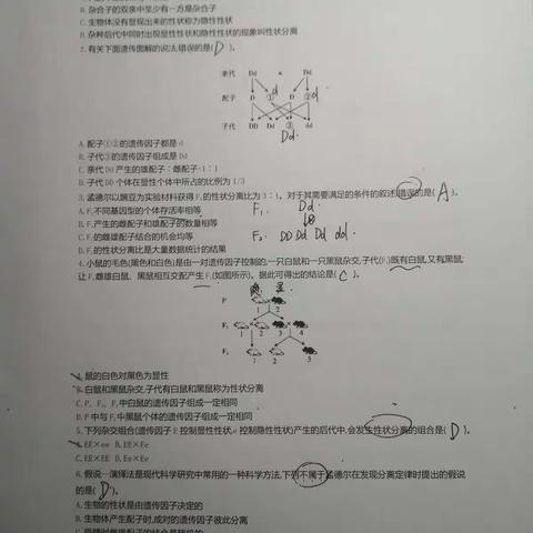 刘一朴生物作业