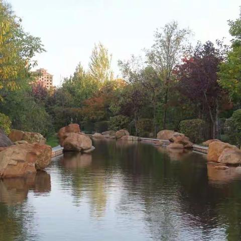 建三江植物园秋景图
