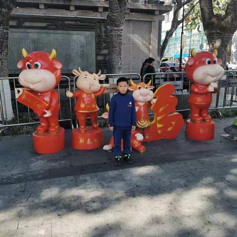 我的寒假我做主