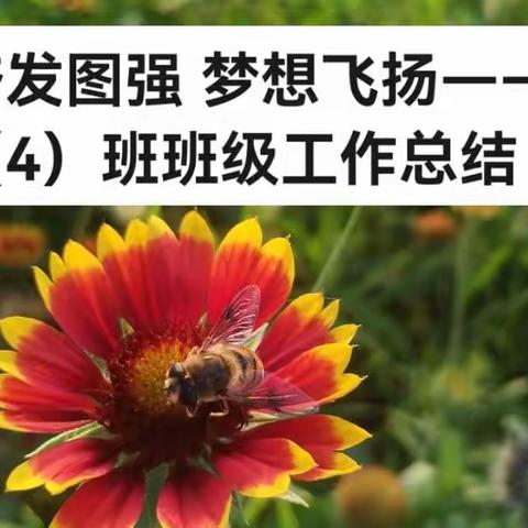 奋发图强 梦想飞扬——九（4）班班级工作总结