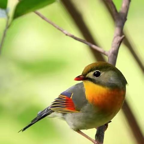 如何建立家庭档案？