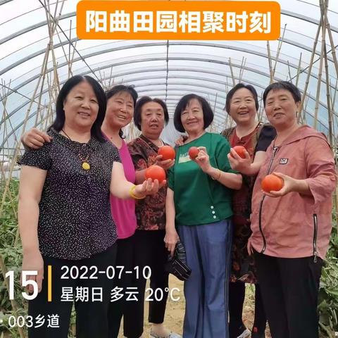 阳曲田园相聚时刻