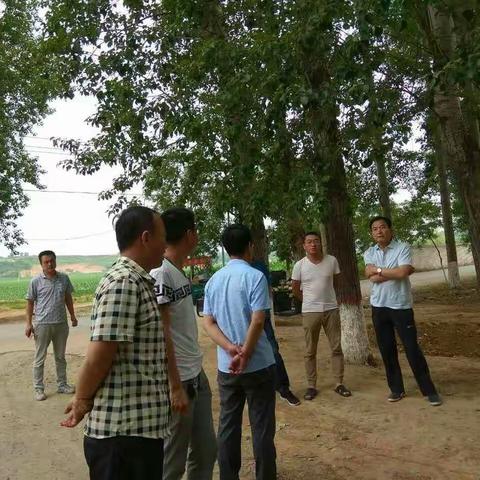 【实干郊区】李维祥书记督导“五道五治”工作