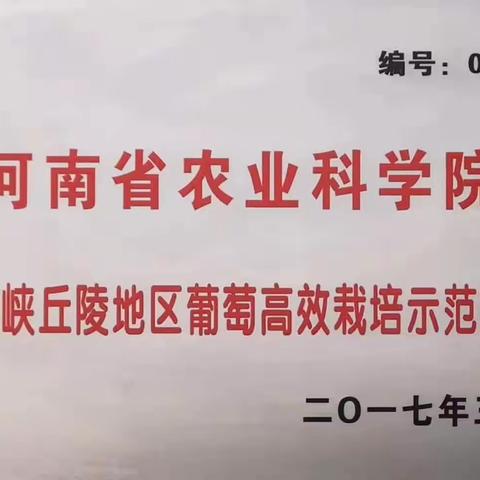 好葡萄，当然赞不绝口，精好品质，自然好味道！