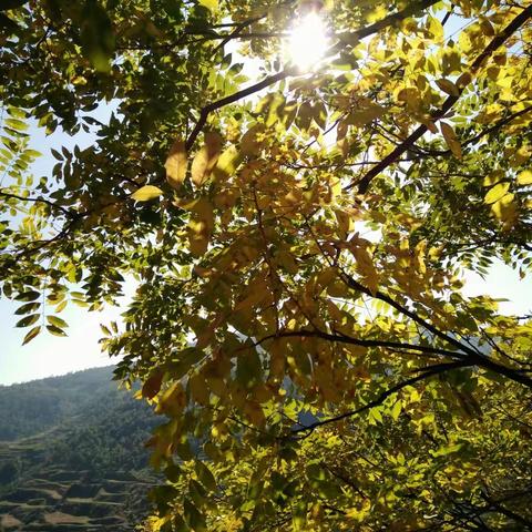 飞来寺冬日暖阳