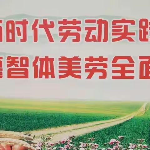 劳动与综合实践系列活动（一）