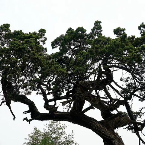 万达国旅·铛铛行·平阴洪范池游览随拍