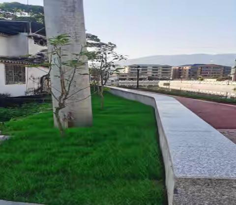 环境整治不放松 乡镇美化不停步|陶山镇持续深化人居环境整治工作