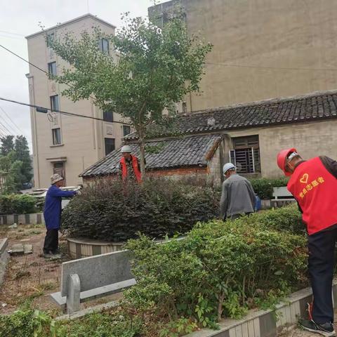 喜迎二十大|陶山镇凝心聚力全面开展环境整治工作
