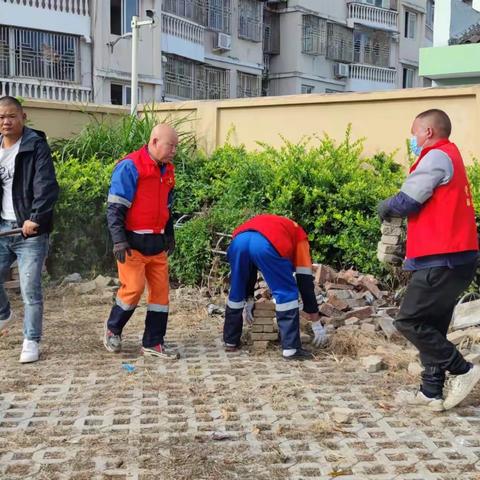 陶山镇干群共促持续深化人居环境整治工作