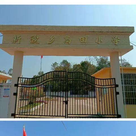 巧手绘童心 书韵映芬芳——新陂乡高田小学手抄报展示活动