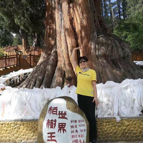 西游随笔（五）（8月7日）