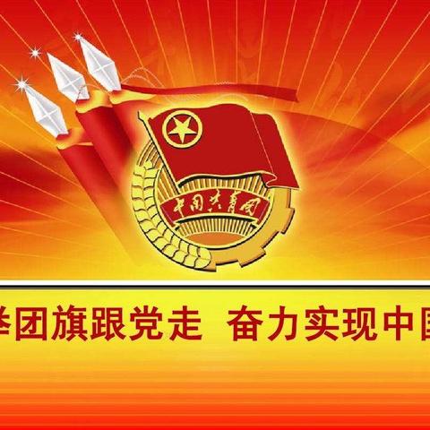 河北支行召开第十届团员大会