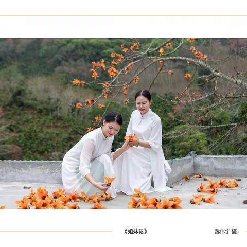 速览保亭“礼赞二十大·奋进新征程”摄影展活动作品