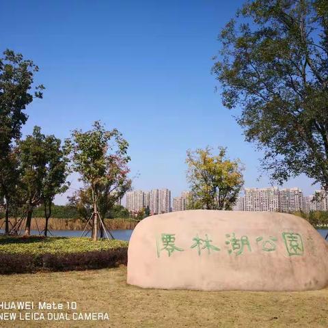 南京仙林湖打卡