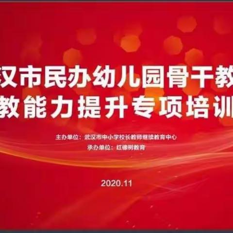 提升专业保教能力，学习专业知识一一武汉骨干教师学习之旅