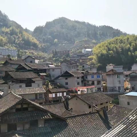 美丽乡村