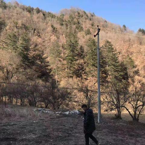 2021年2月3日板房子镇政府网格化管理办公室工作纪实