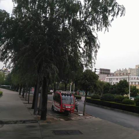 雨后杂感