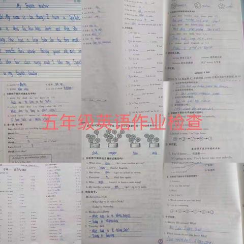 新的一年新的开始文泰华光彩小学第二次作业检查指导