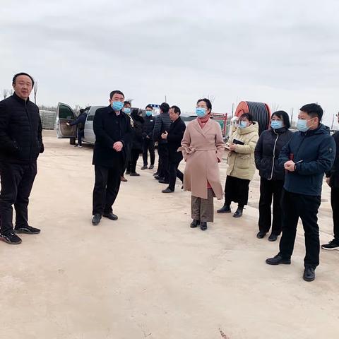 省绿色食品发展中心对我市浚县创建全国绿色食品原料标准化生产基地进行初验