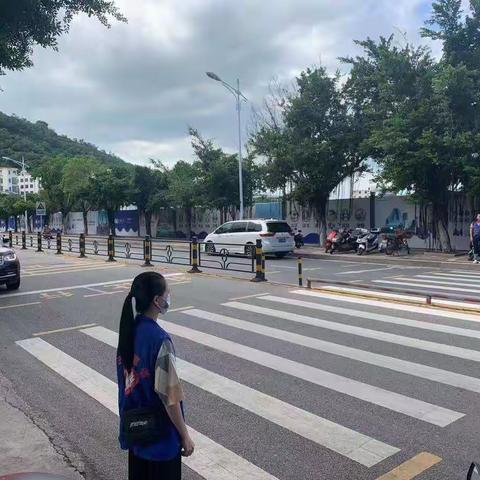 南海社区开展创文志愿服务活动