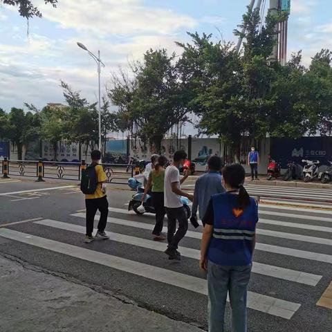 南海社区开展创文志愿服务活动