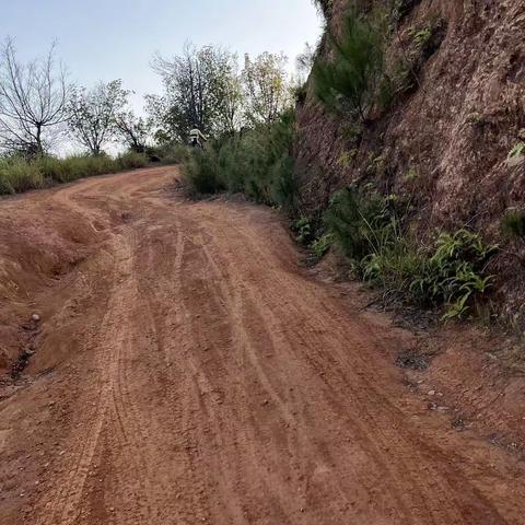 2022.11.10南山赛道