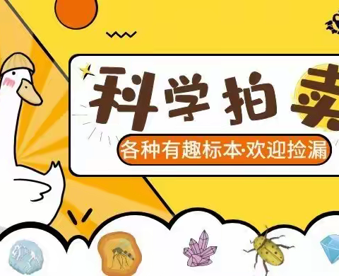 【拍卖群拍品预览】2023年9月15日，20:00准时拍卖