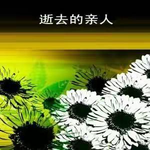 送给天堂的母亲