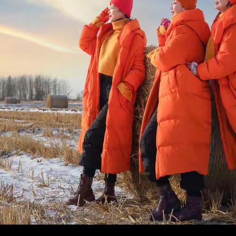 美哥的美篇