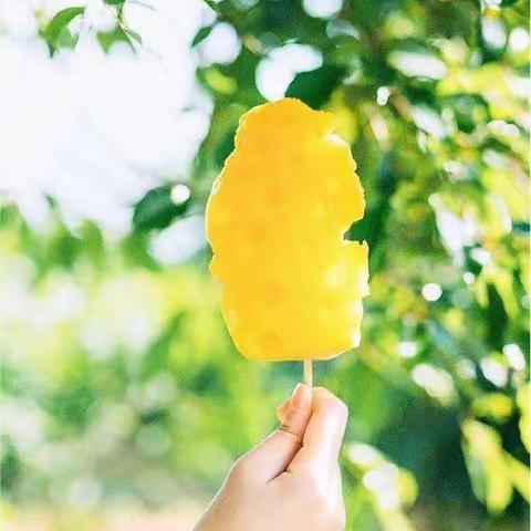 不负盛夏，缤纷暑假（宁武县实验小学四三班宗玫锦）