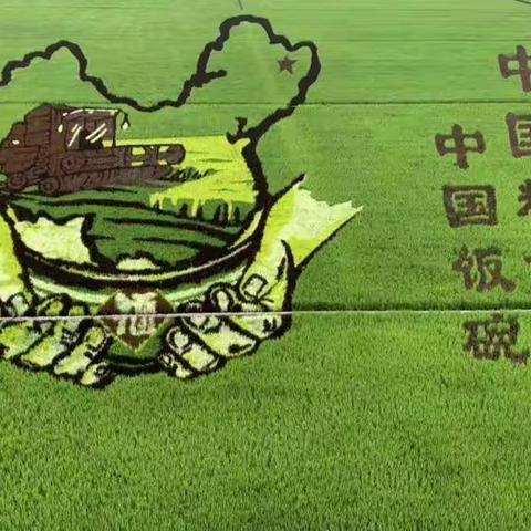 那片被太阳吻过的土地